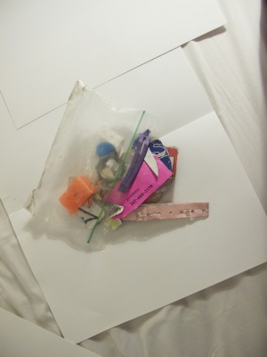 alice-janne-nyc-papers