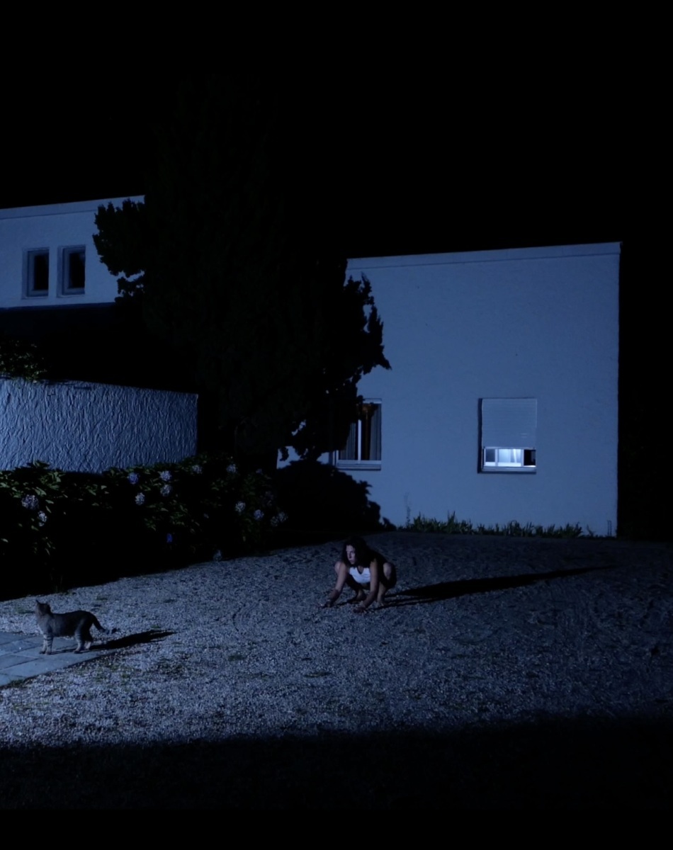 Camille-La-vie-nocturne-des-chats