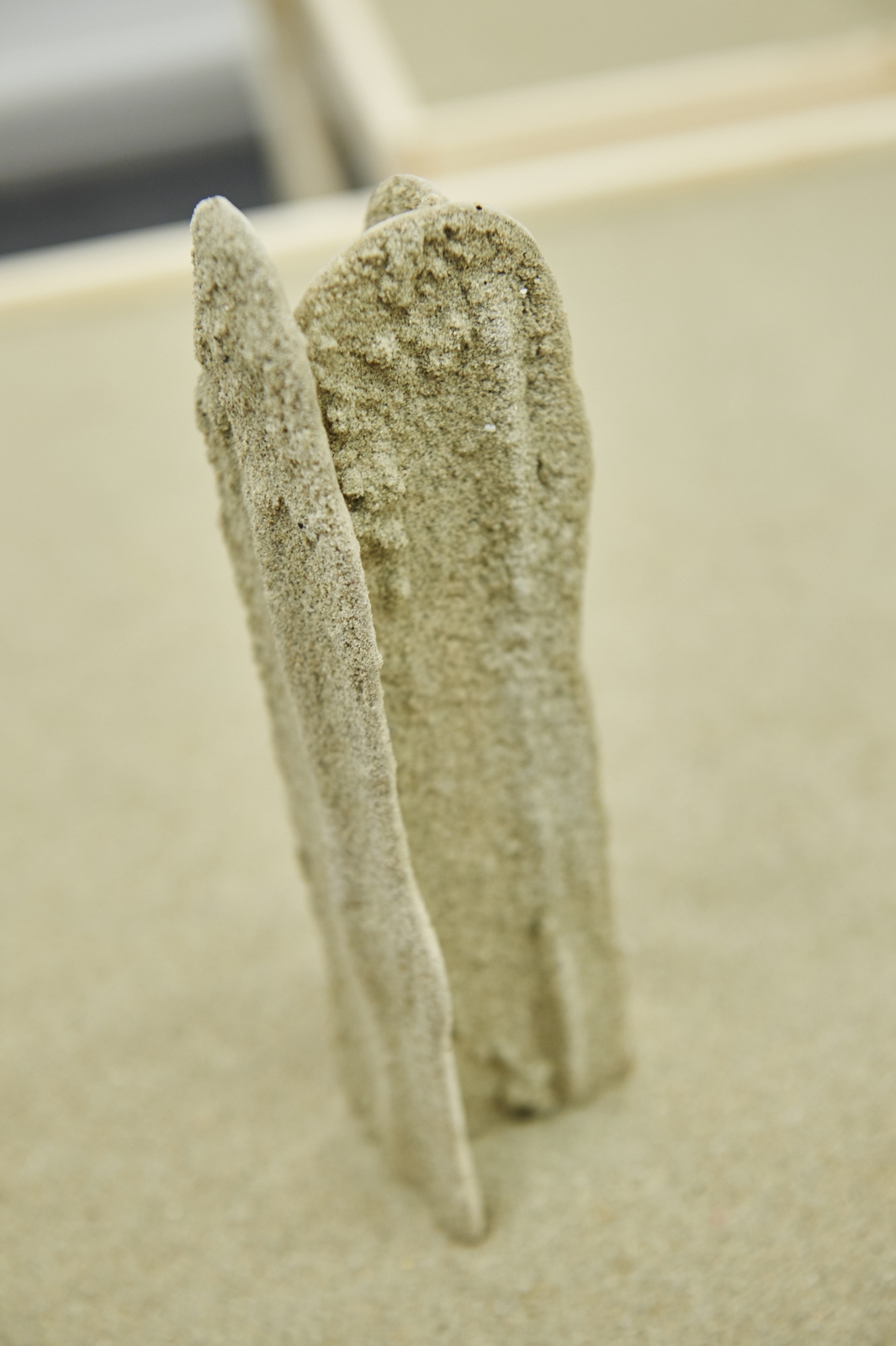 MIC_0020