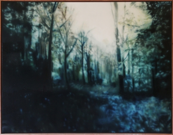 SA_Paintingstomyselfwhenim80_aforrest_15