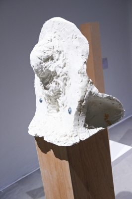 mic_7223
