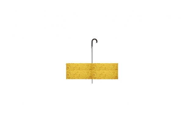 LIENVANRANST_SponzenParaplu